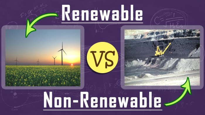 Renewable non renewable resources worksheet