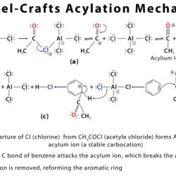 Friedel crafts acylation of ferrocene lab report