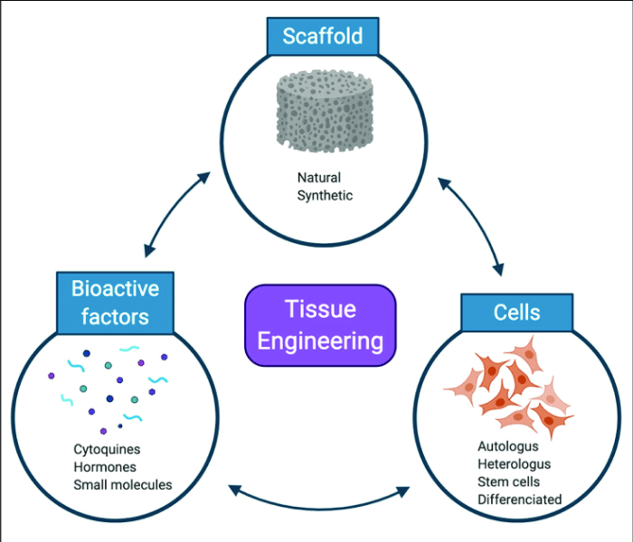 Scaffolding